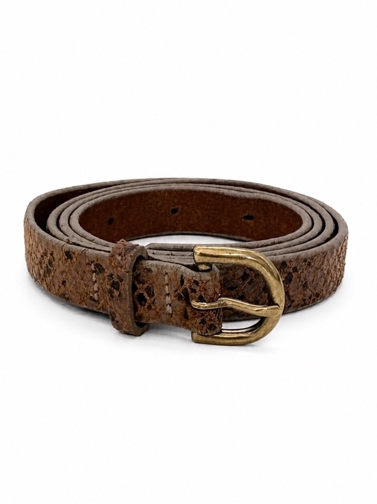 Aritzia Accessories - Wilfred Snakeskin Belt with Gold Buckle Sz Large